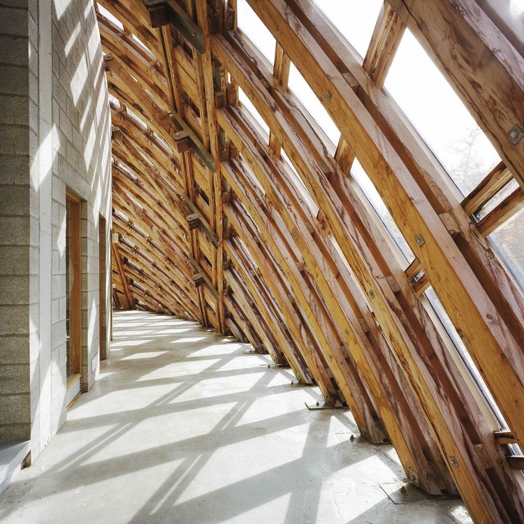 比利时瓦隆林业部-17