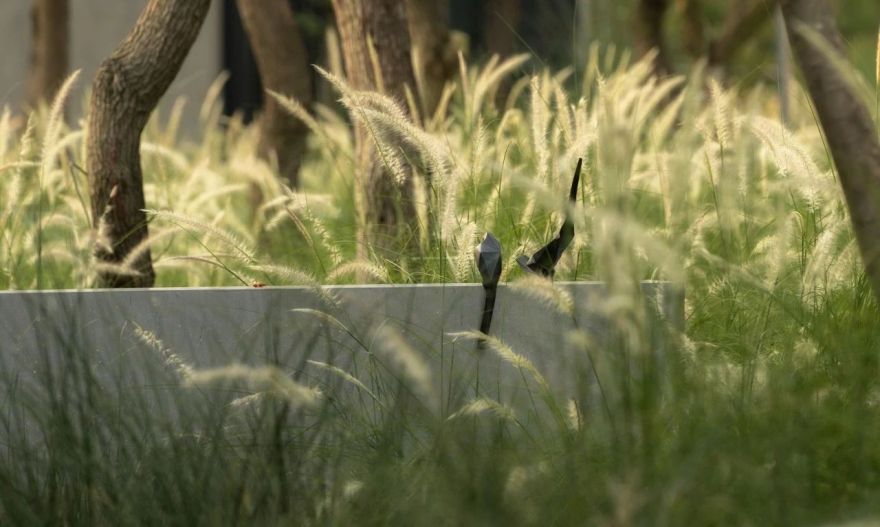 成都麓湖C7玄鸟湾示范区丨中国成都-82