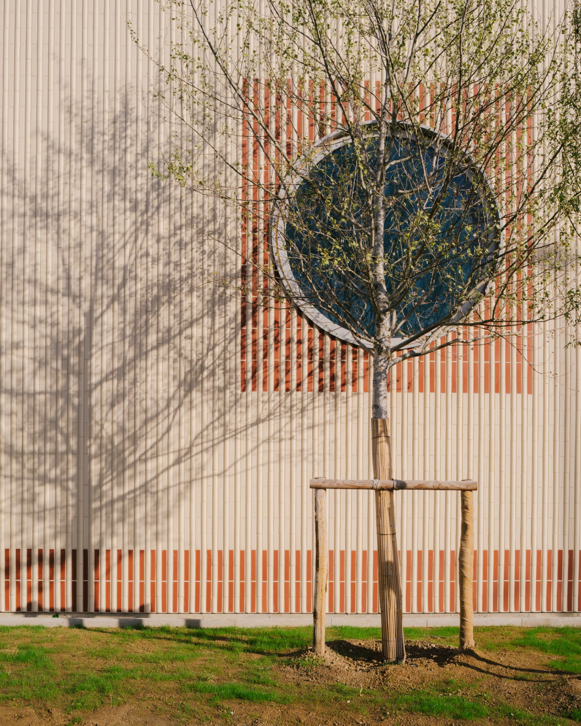 多米尼克·弗洛学校综合体丨法国-27