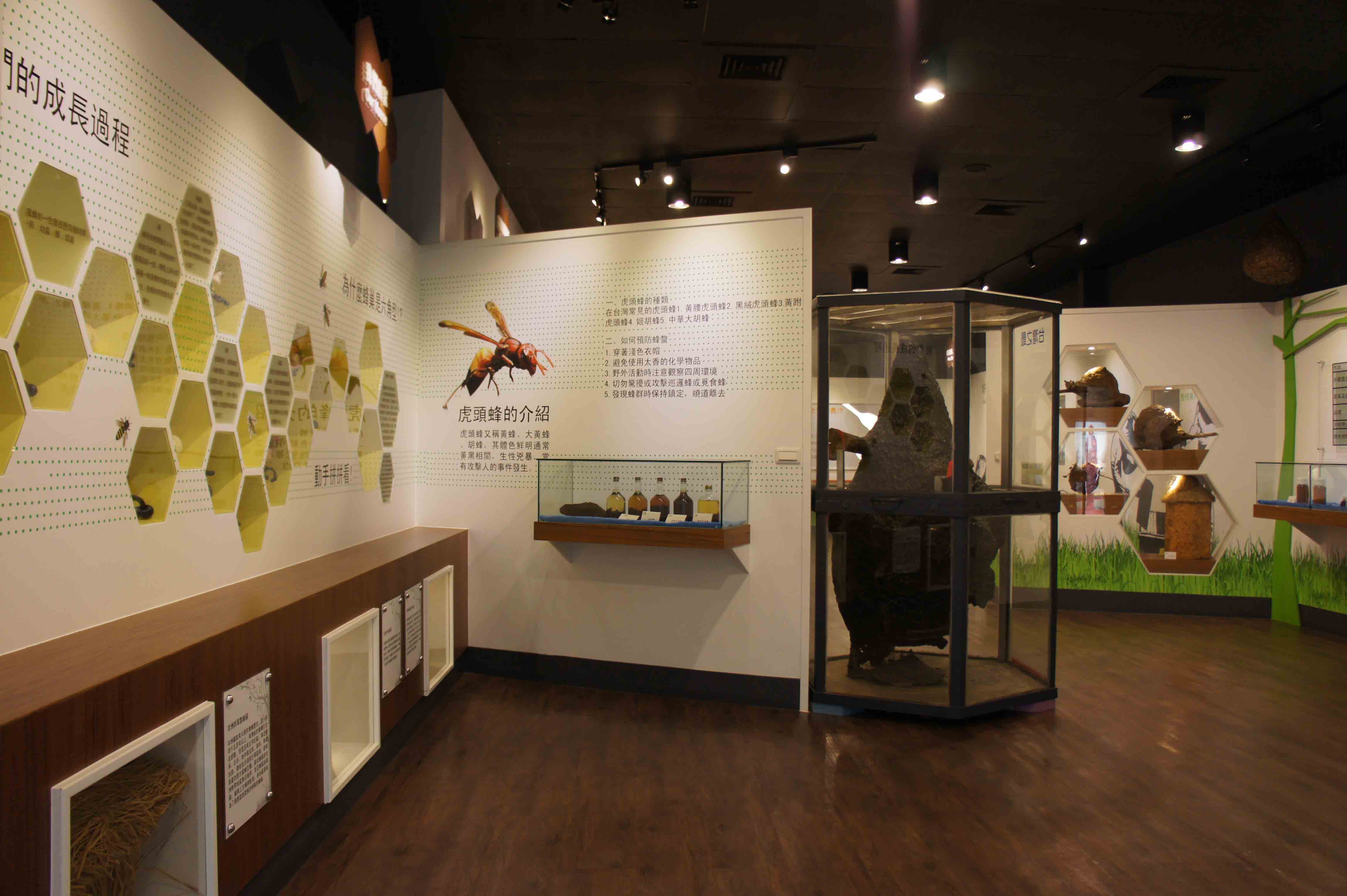 养蜂人家蜂采馆展览空间-12