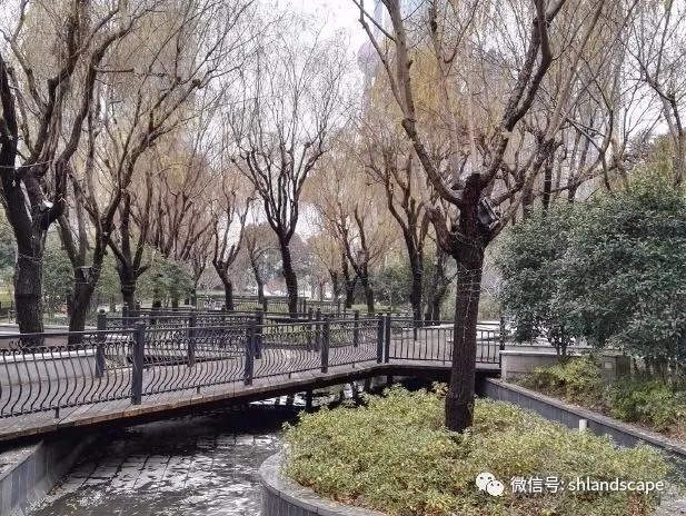 上海浦东世纪大道改造提升工程-28