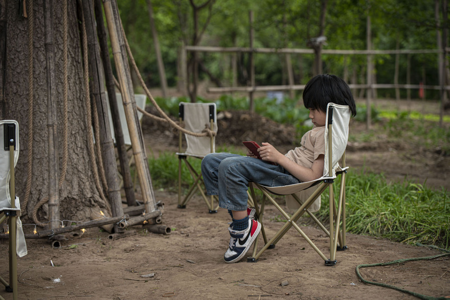 竹装置·Tree of Life丨中国北京丨UK Studio-36