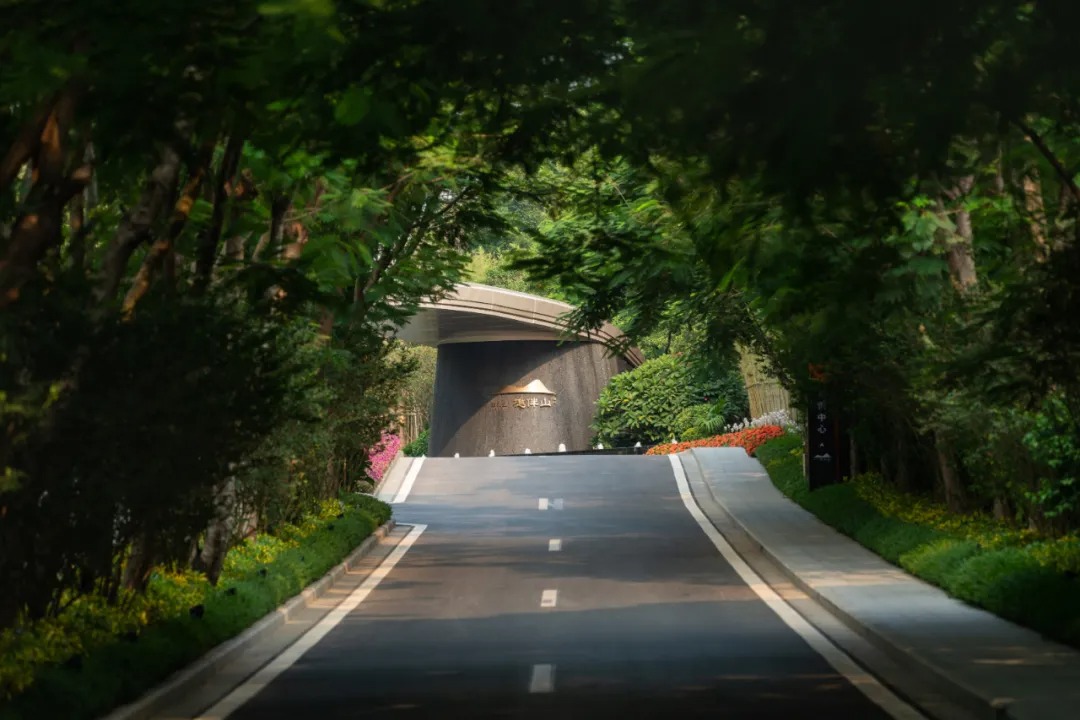   林德设计丨深圳佳兆业樾伴山 景观设计  丨中国深圳-51