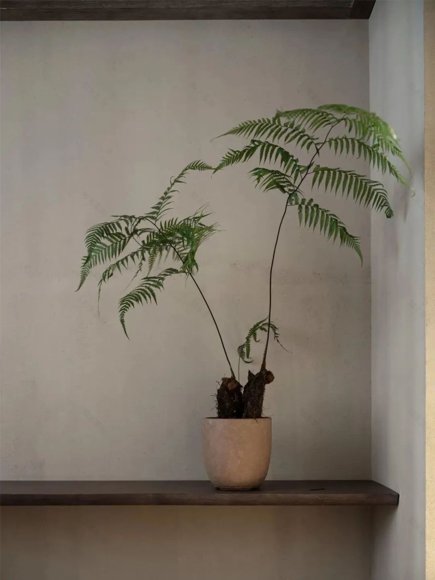 月溪香林·自在丨中国中山丨空间进化(北京)建筑设计有限公司,彩虹石(北京)空间设计有限公司-68