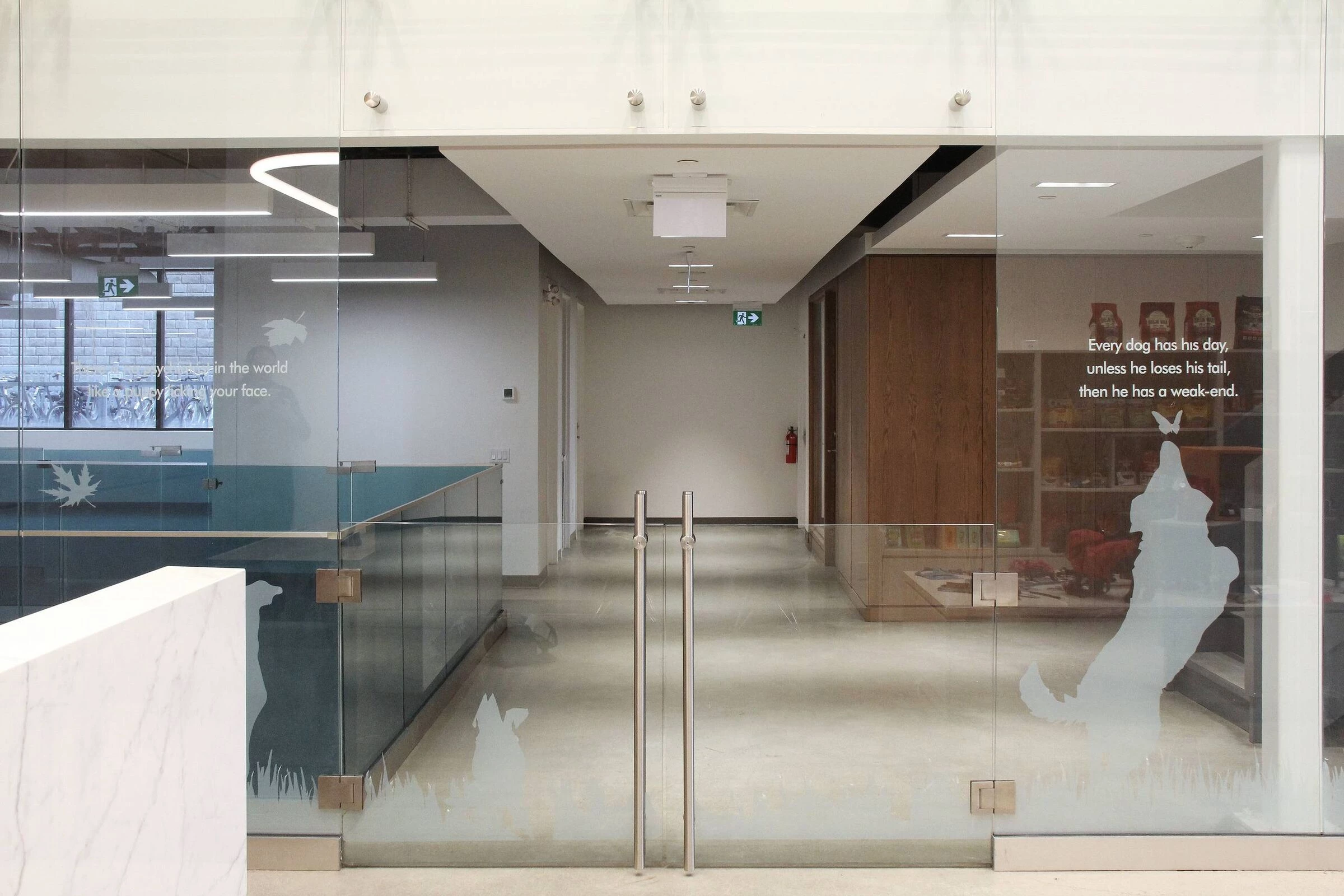 Park Lawn Dog Daycare-25