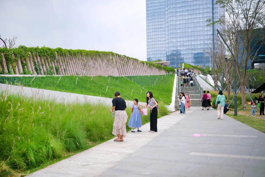 2024粤港澳大湾区花展主会场 | 深圳笔架山体育公园-22