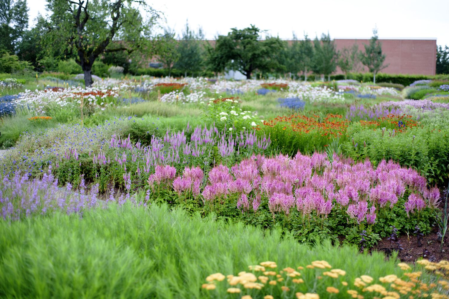 德国Vitra Oudolf花园丨Piet Oudolf-33