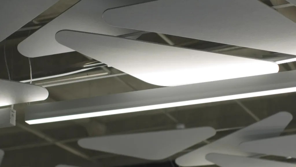 丨巴西伯南布哥-234