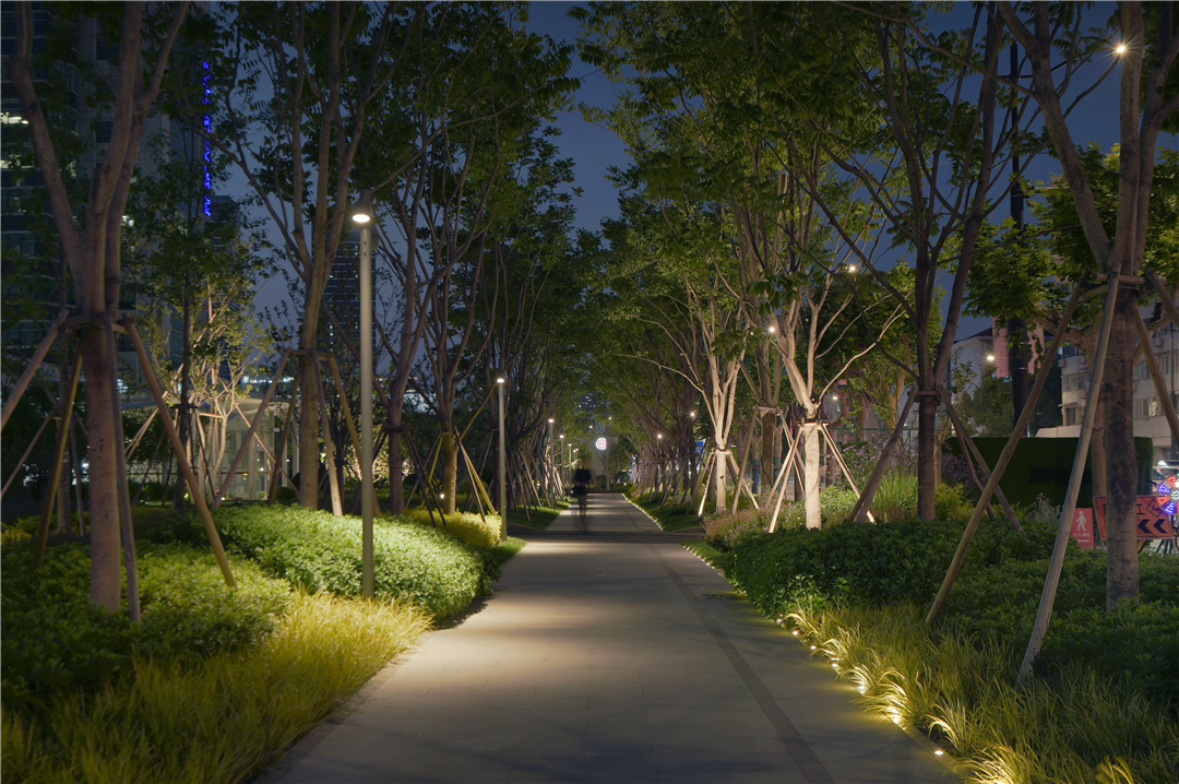 “15分钟美好生活圈”推窗见绿|华建集团环境院助力桂林公园地铁站绿地焕新-137