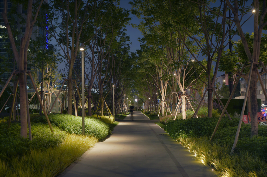 “15分钟美好生活圈”推窗见绿|华建集团环境院助力桂林公园地铁站绿地焕新-137