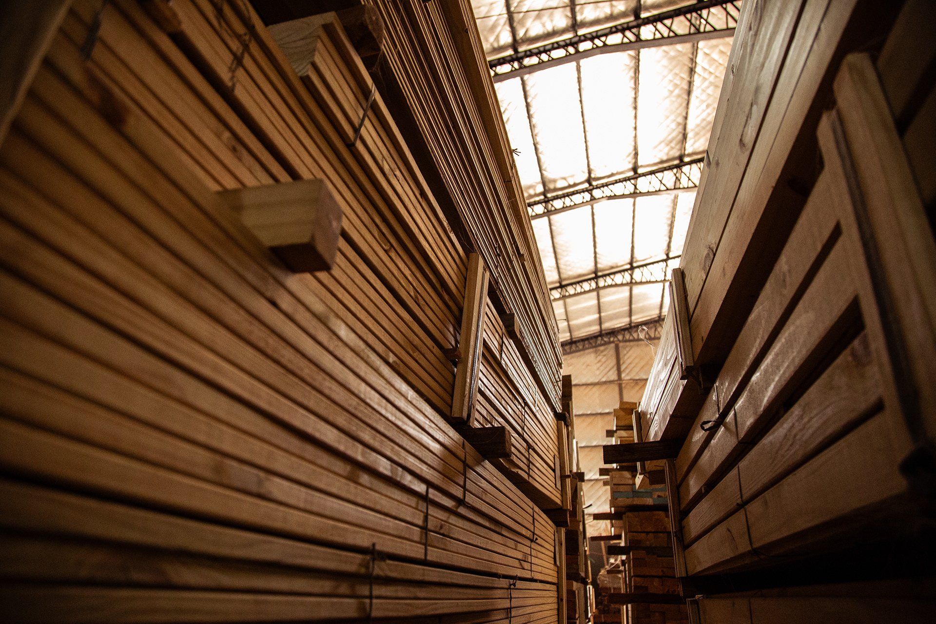 Maderera / Lumber company-16