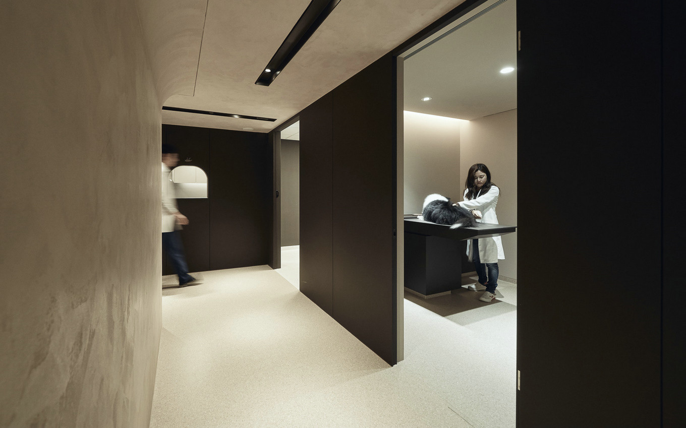 觉知造所设计 | 宠物图书休闲室共享空间-18