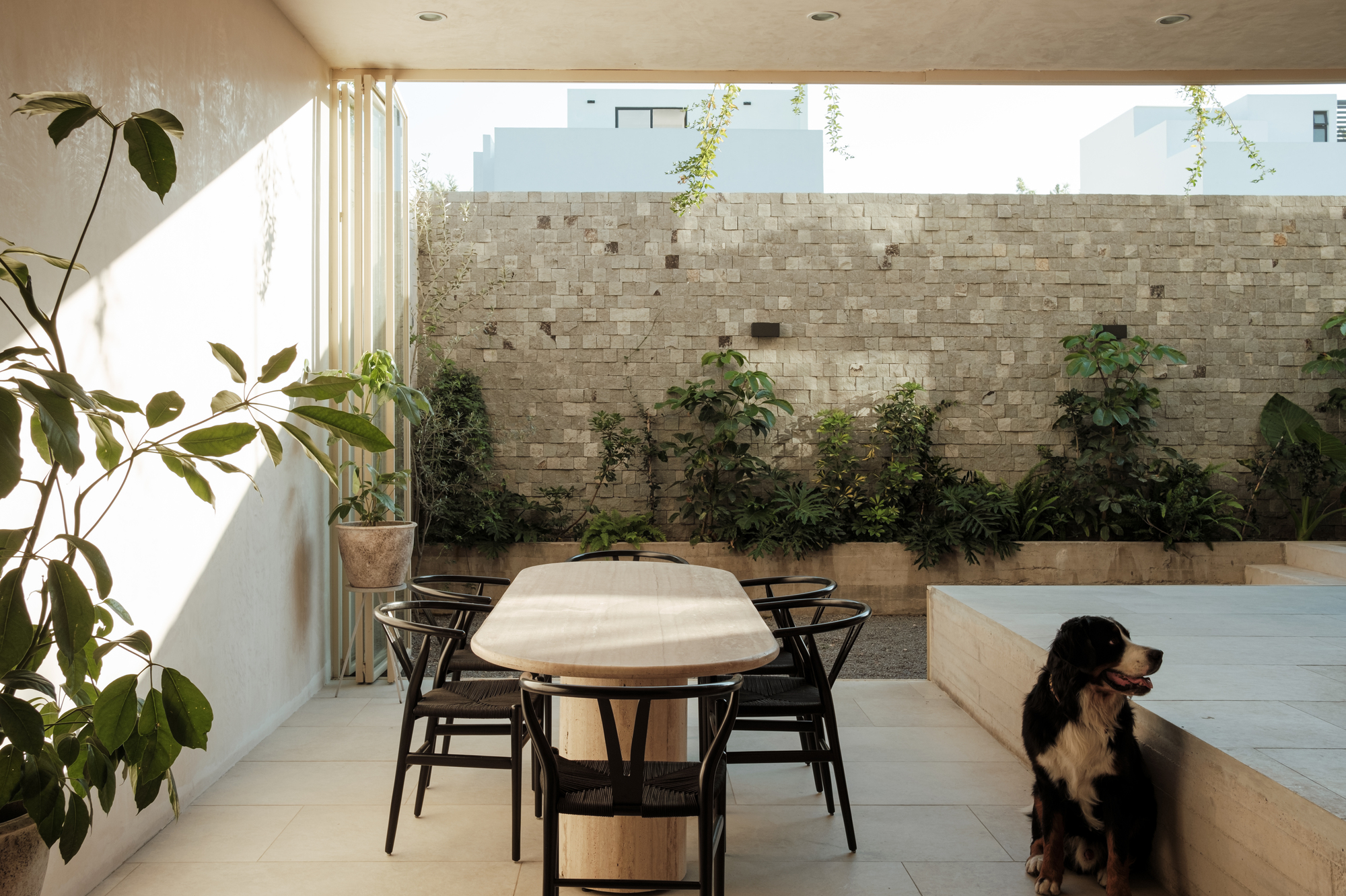 马缨丹屋丨墨西哥瓜达拉哈拉丨Dinamita-35