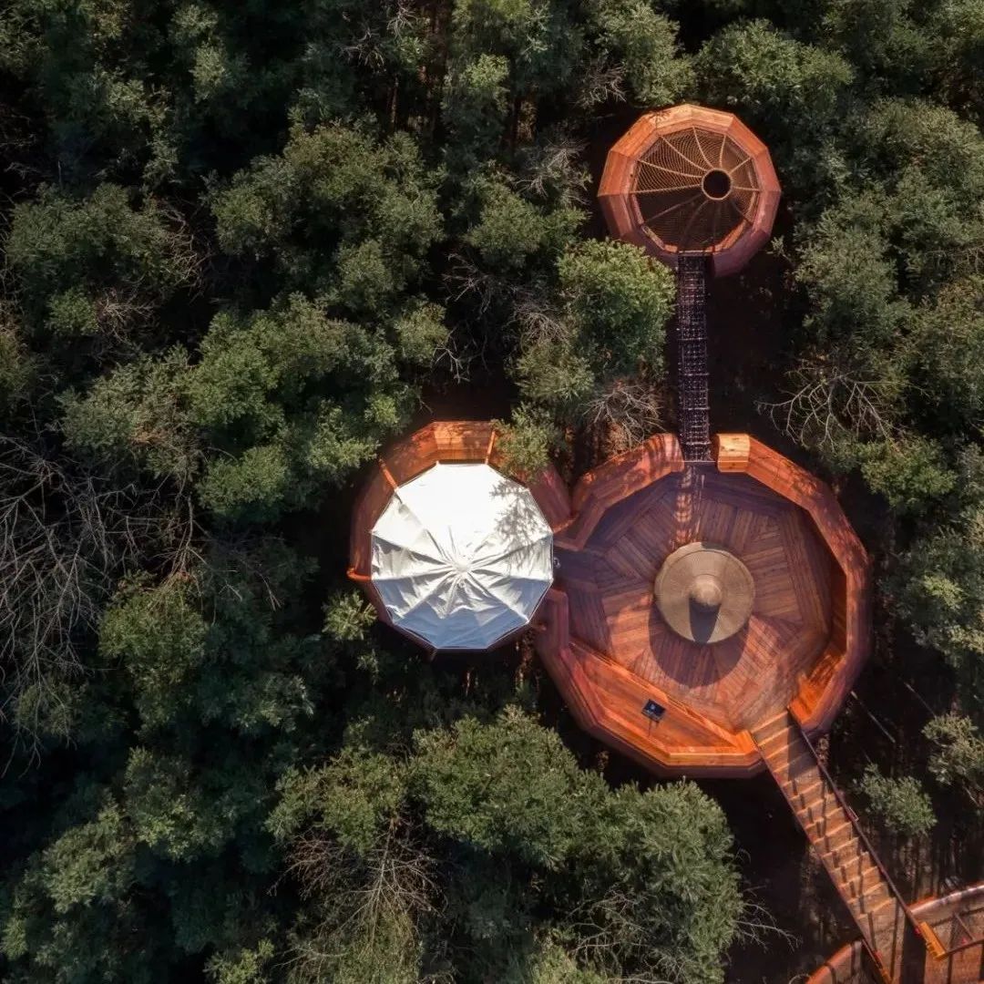 杏院–望远山居丨中国福建丨厦门泛华设计·回应建筑工作室(RESP Studio)-45