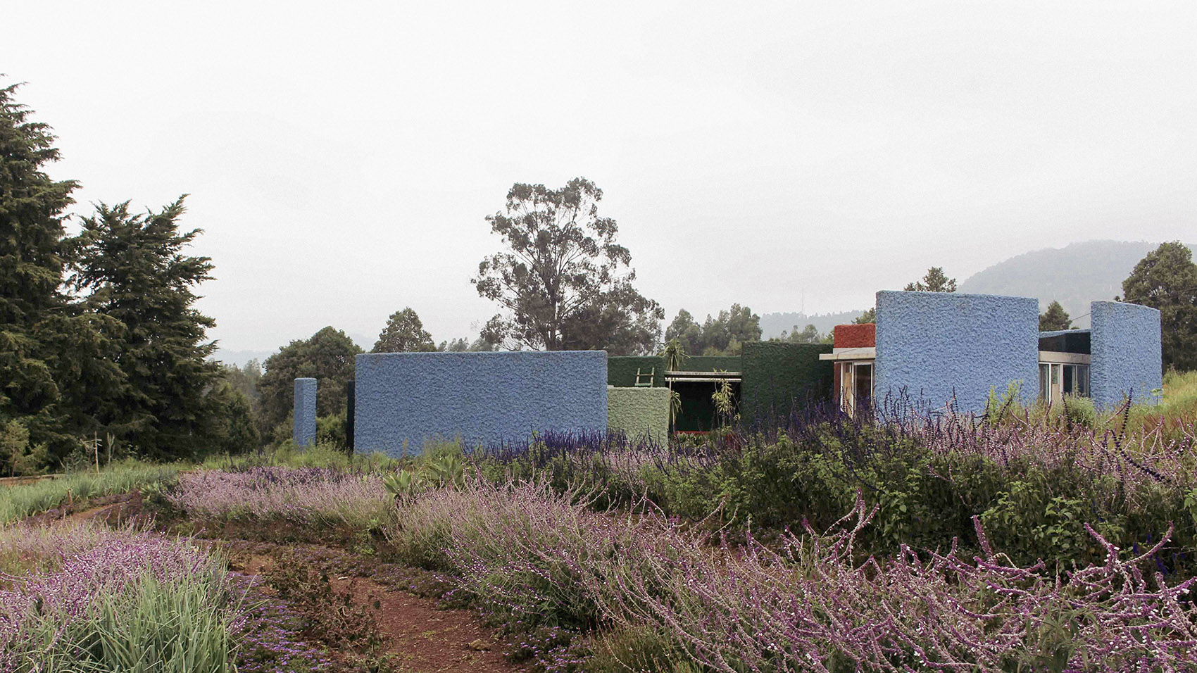 埃塞俄比亚梅莱斯·泽纳维纪念公园丨Studio Other Spaces-16