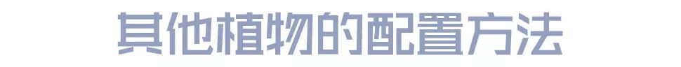 园林景观植物绿化设计方法解析-73