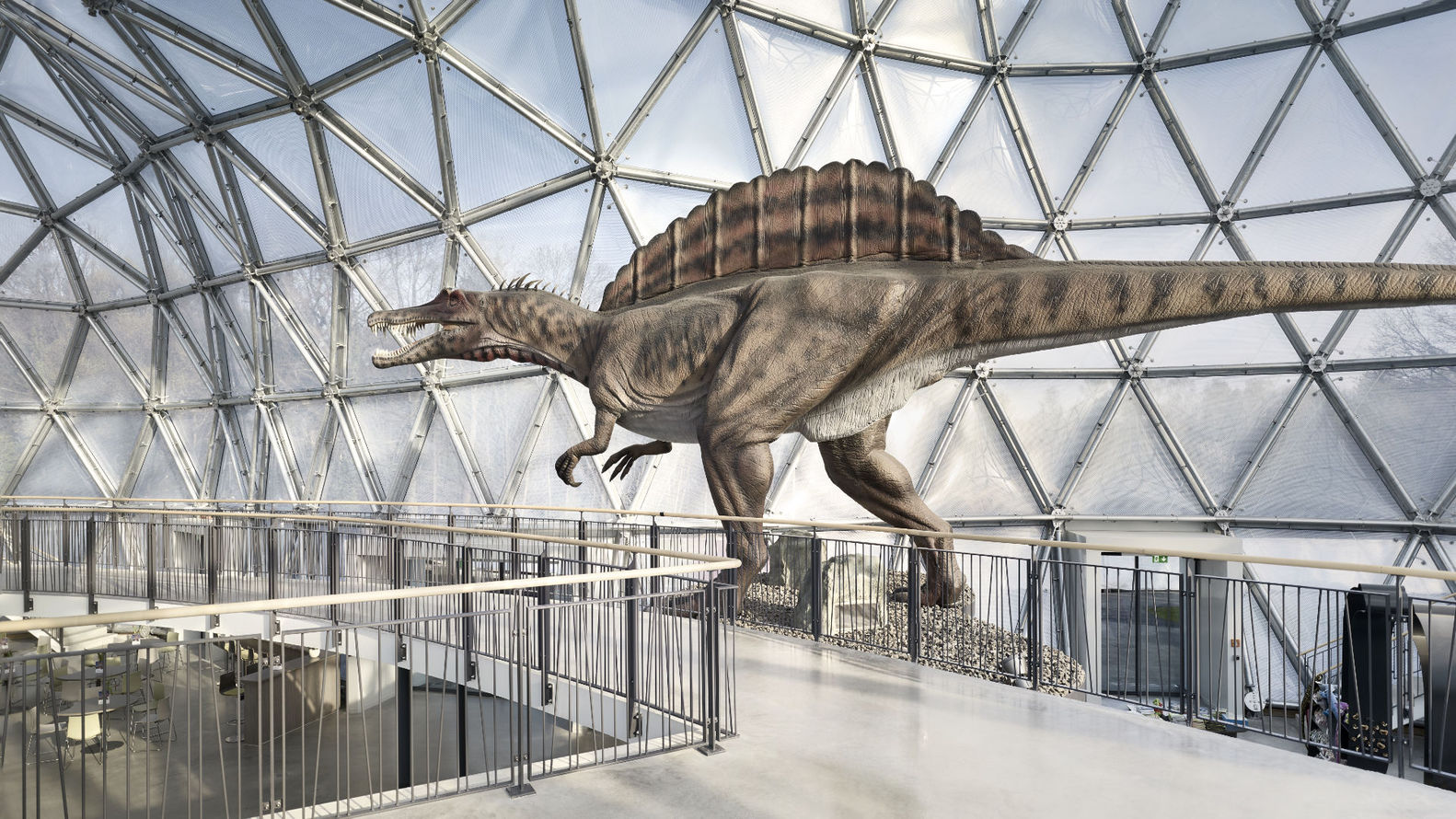 Dinosaur Theme Park Entrance Building  rimpf ARCHITEKTUR-64