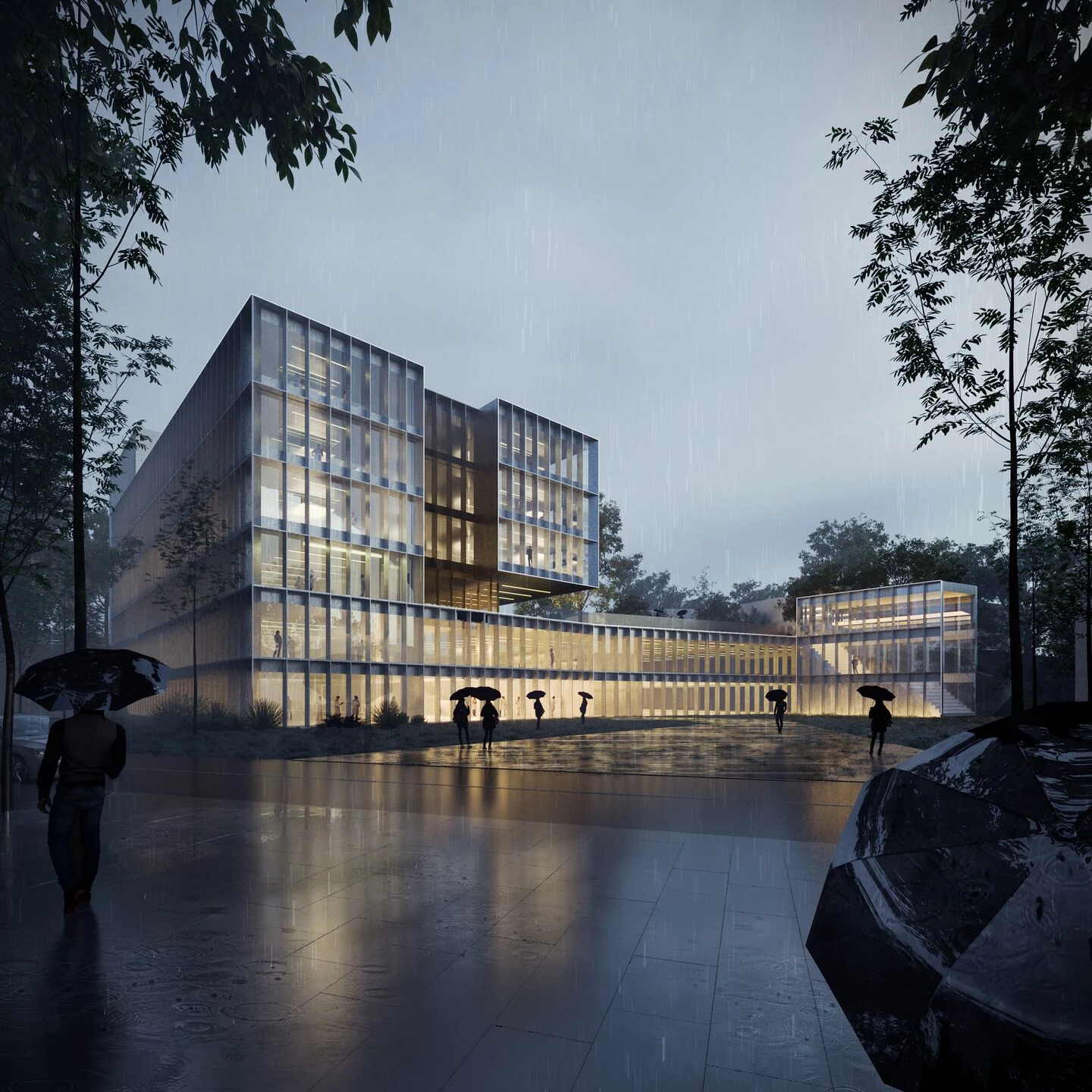 Donostia International Physics Center - DIPC-54