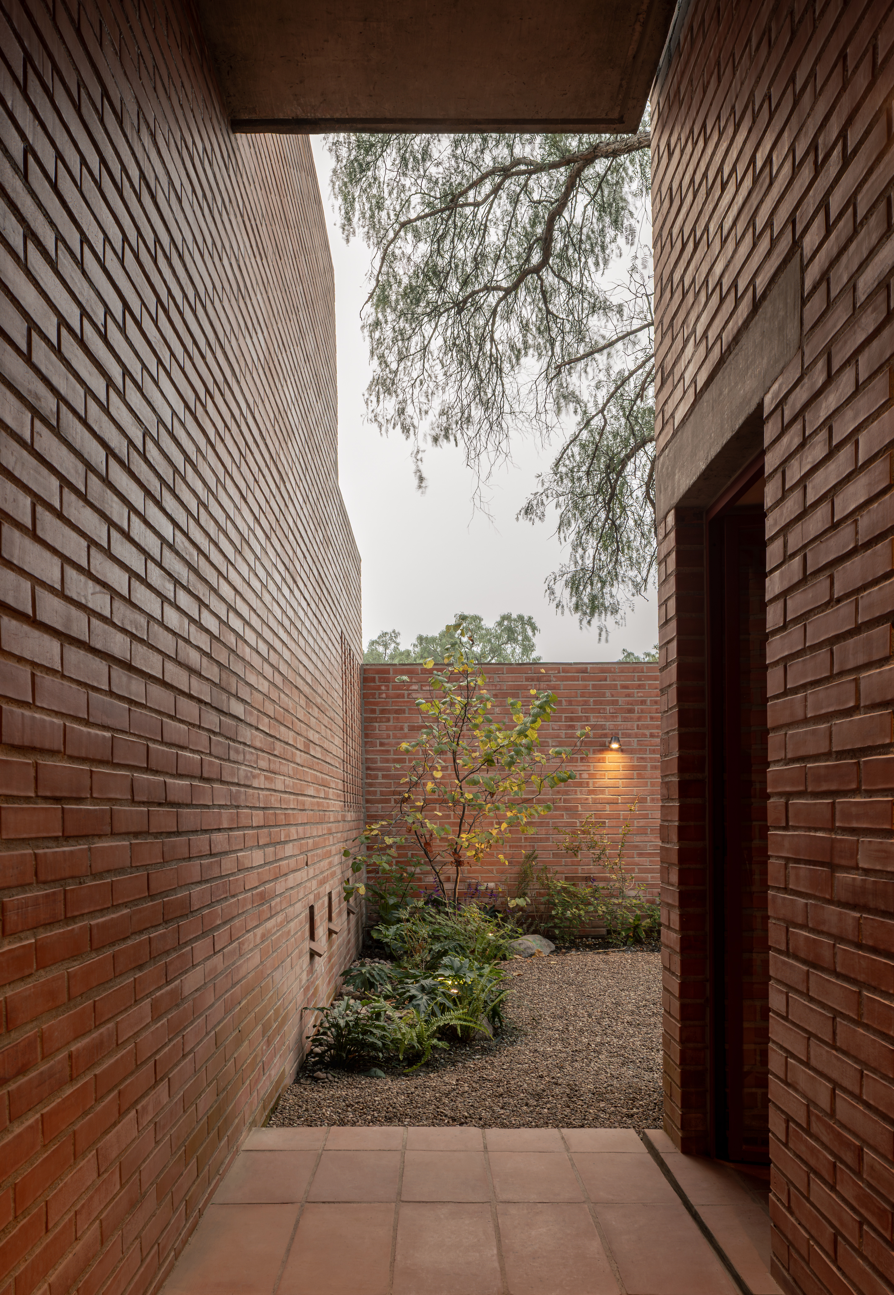 皮鲁莱斯之家丨墨西哥丨Escobedo Soliz（Pavel Escobedo等）-22