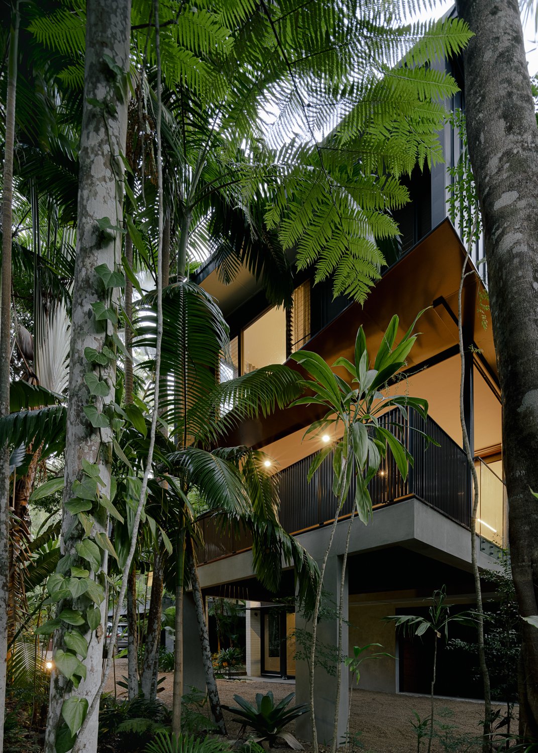 雨树,雨林别墅丨澳大利亚丨Void Building Design-31