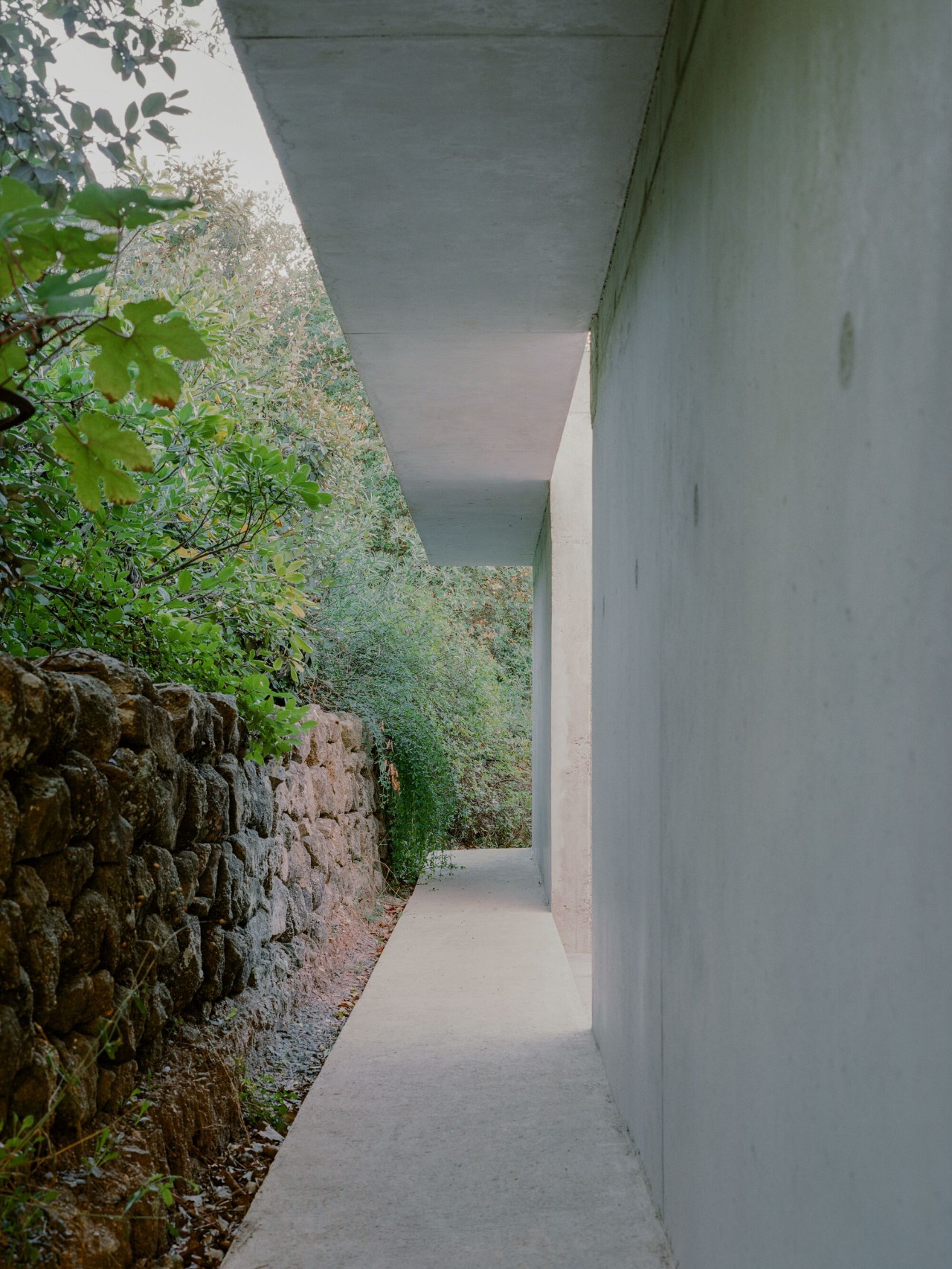 帕兹之家丨法国丨Alors Studio-13