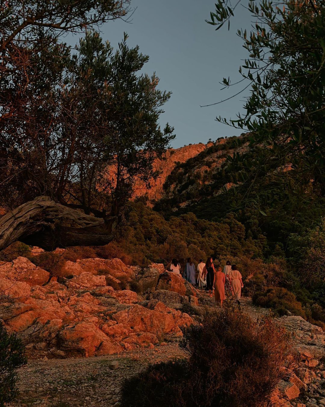 马洛卡隐秘自然疗愈酒店·She She Retreats丨西班牙丨Albertine van Iterson-52