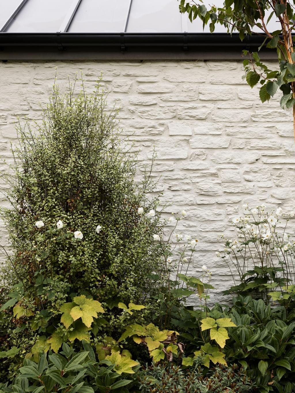 矛草屋丨新西兰-47