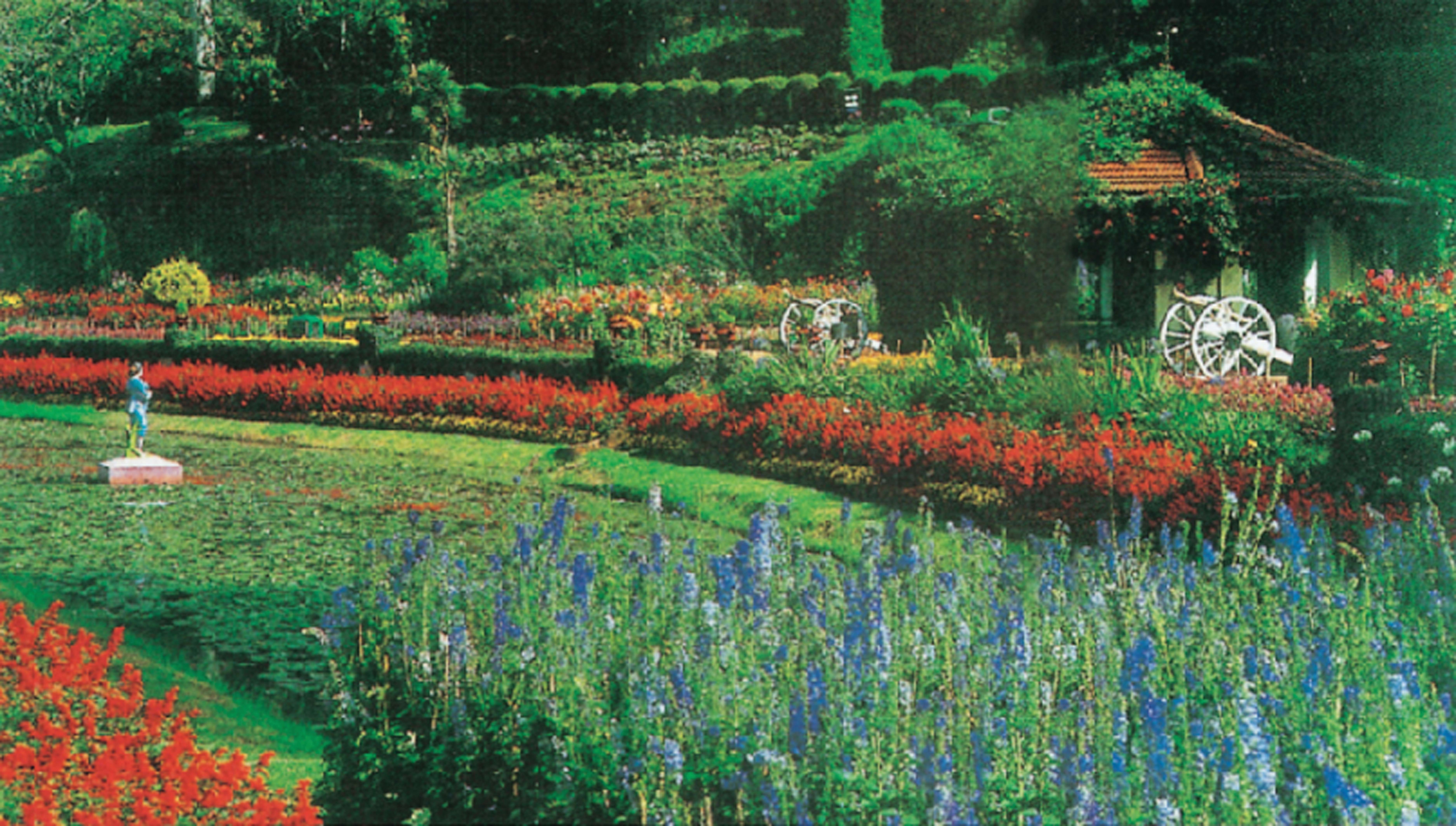 The Savoy Hotel Ooty-7