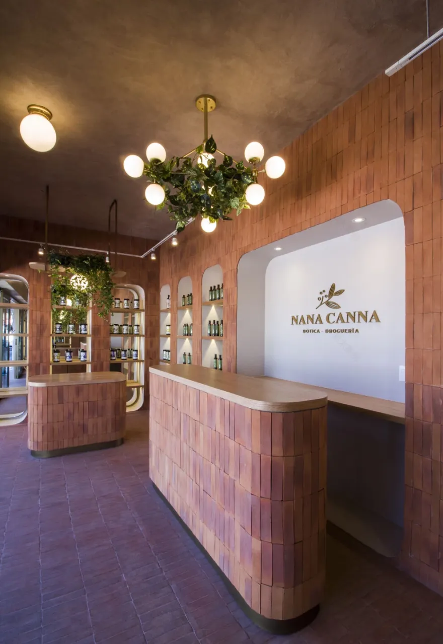 娜娜·坎纳丨墨西哥瓜达拉哈拉丨deFORMA arquitectura-7