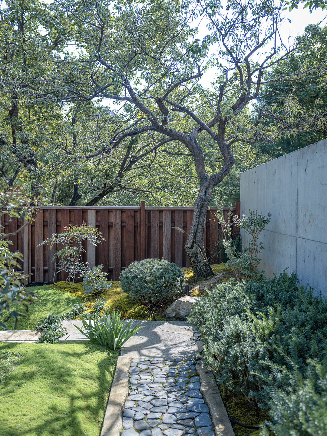 悉昙酒店部分庭院及公区设计丨丈山造园设计事务所-167