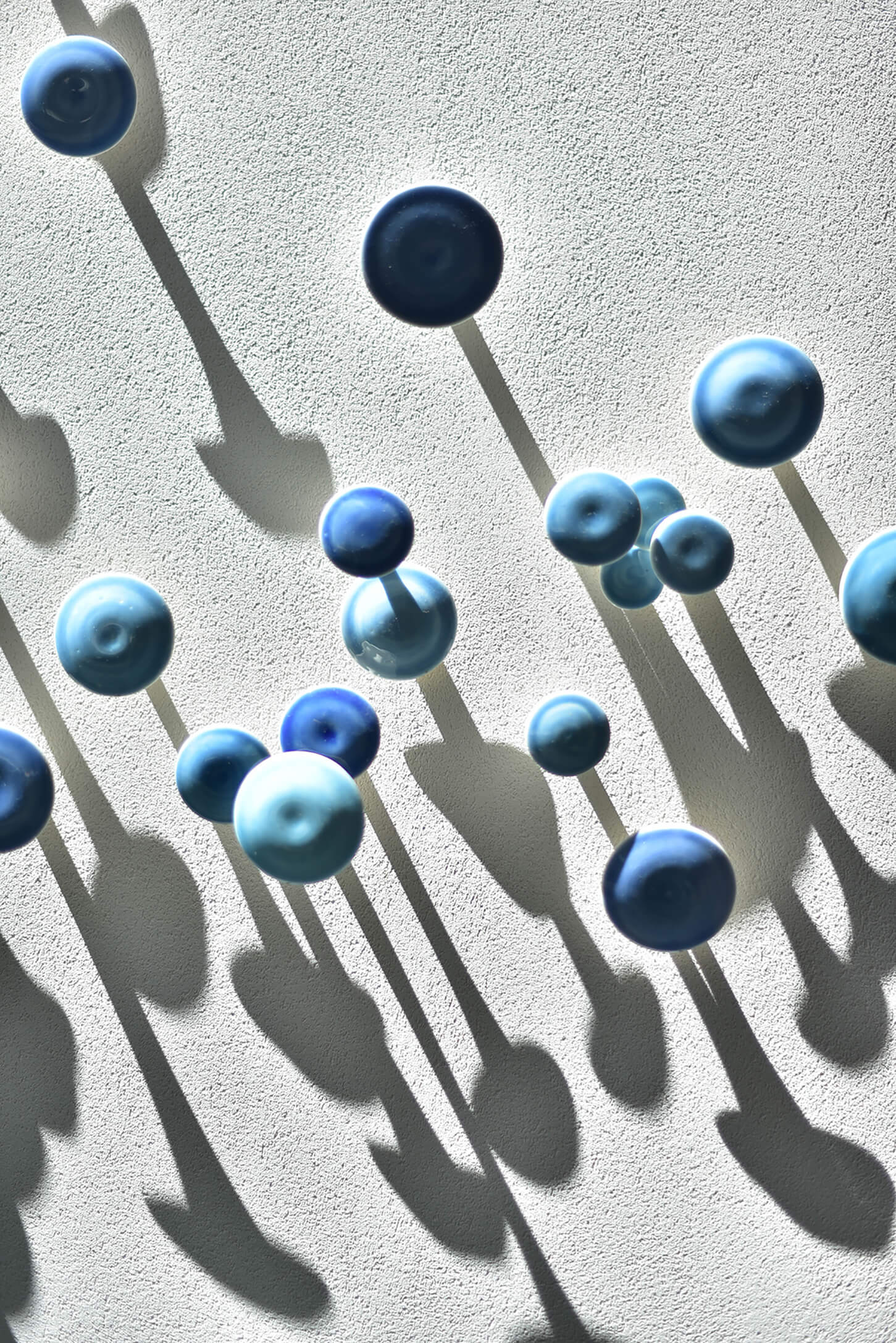 霍克·科罗纳多丨美国加利福尼亚-18