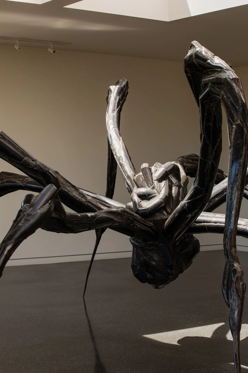 多努姆之家丨美国加利福尼亚丨Studio David Thulstrup-19