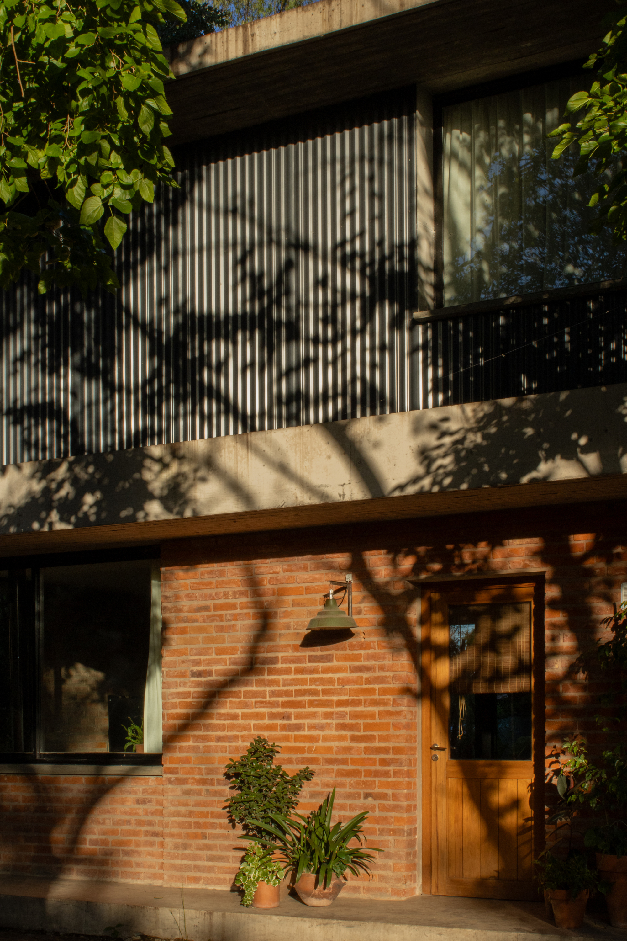 丨阿根廷拉普拉塔丨Simón Albina-10