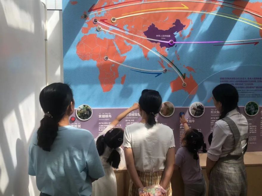 案例 | 上海首个在公园中的自然中心——和平公园自然中心-141