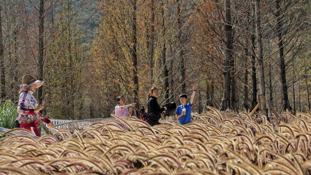 抚仙湖星空小镇 | 生态修复的人与自然和谐共生典范-68