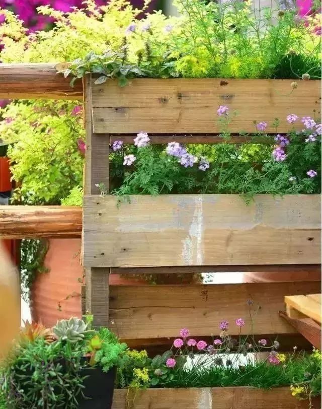 打造孩子喜爱的趣味庭院-5