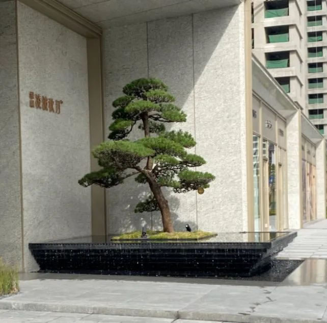 浙江舟山绿城凌波秋月丨中国舟山丨浙江蓝颂园林景观设计集团有限公司-3