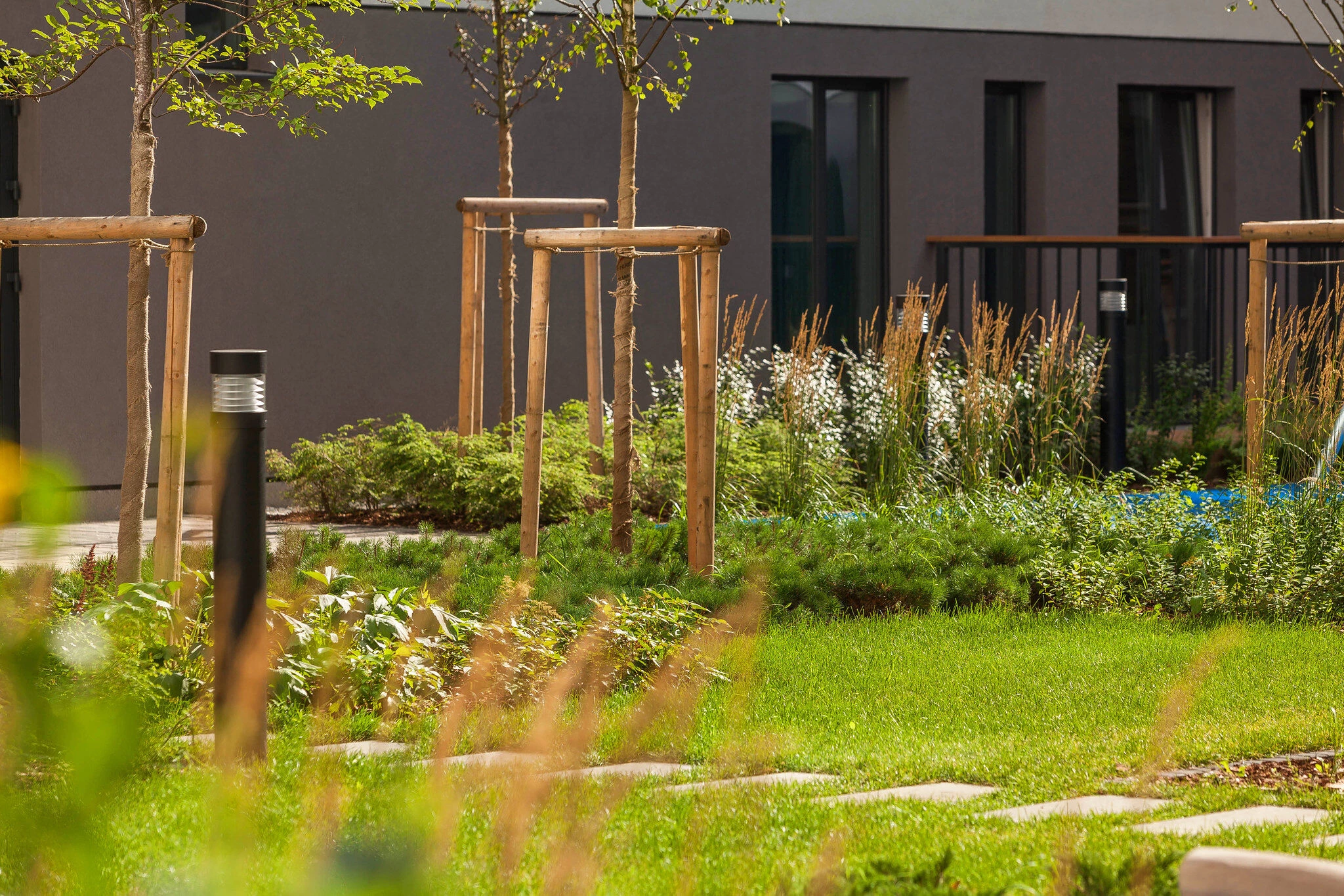 Sukhodolsky 公共公园和庭院丨俄罗斯丨LEVS architecten-53