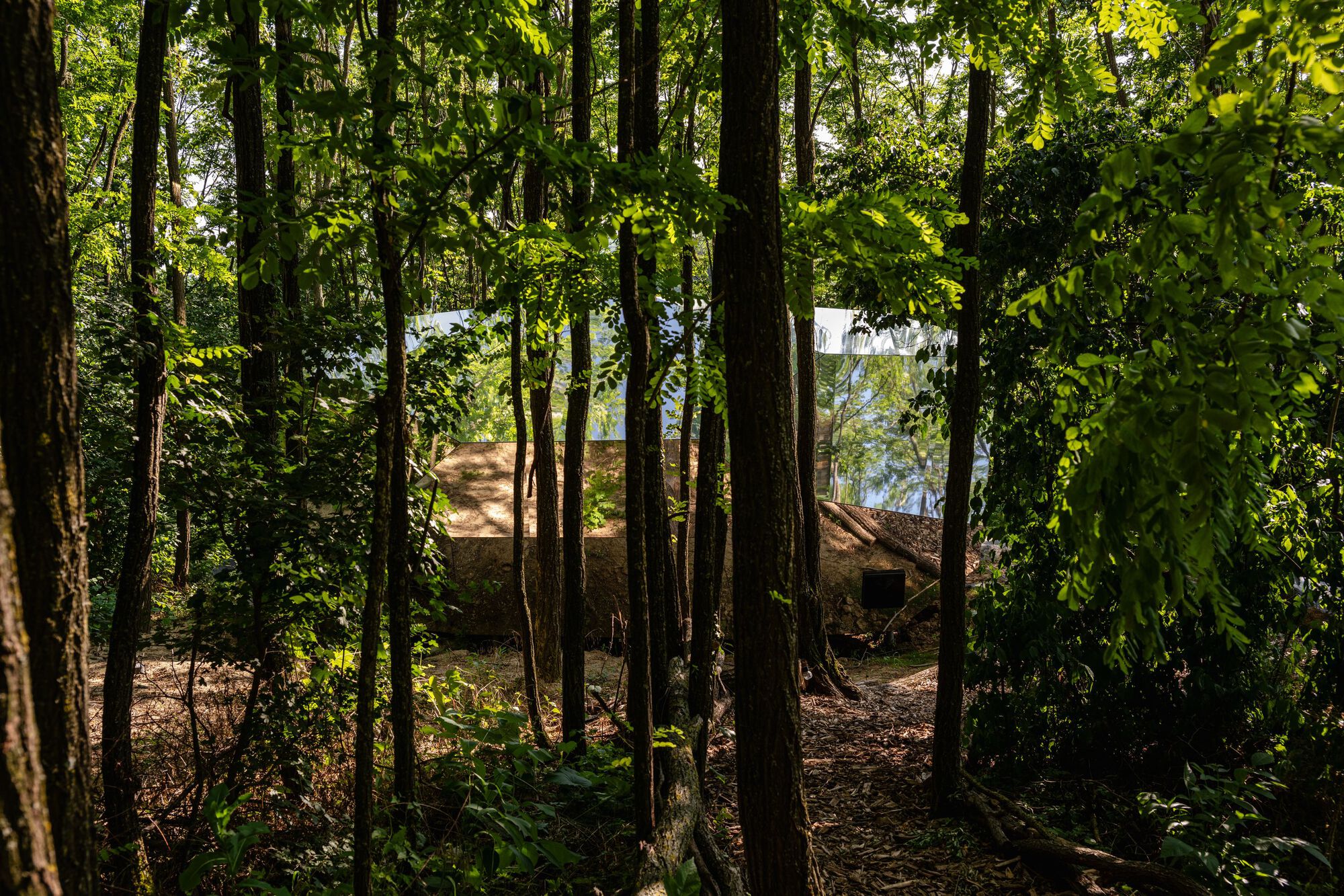 丨美国纽约丨Hello Wood-29