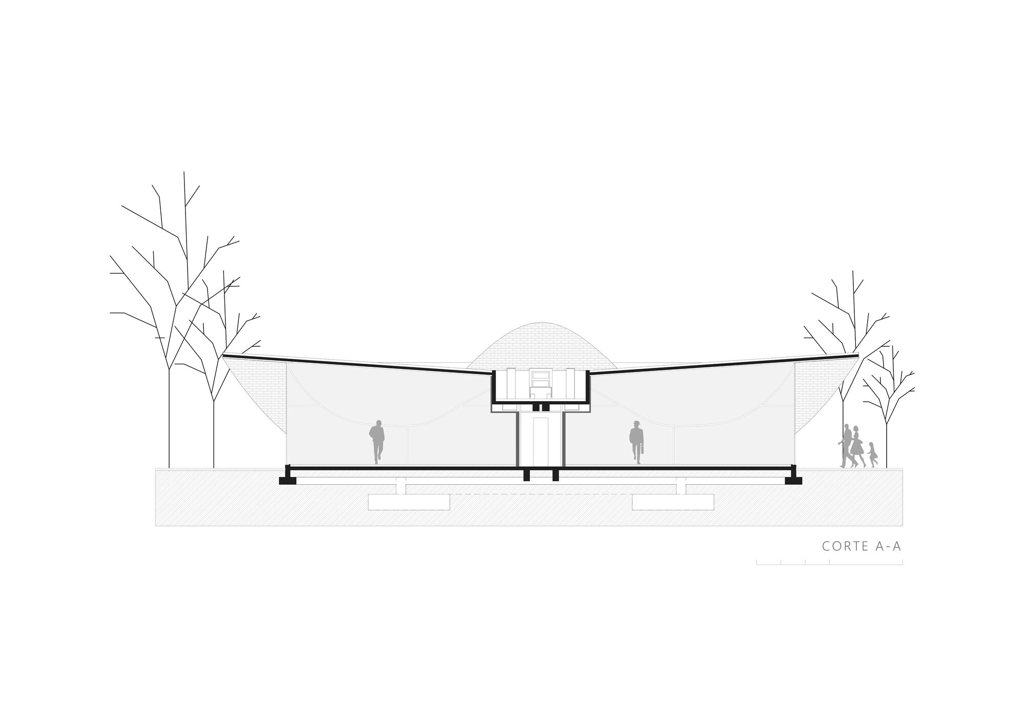 阿米巴分公司（注：Ameba常见指阿米巴，Branch有分公司、分支机构之意，结合常见语境如此翻译） 丨巴拉圭丨BAUEN-15