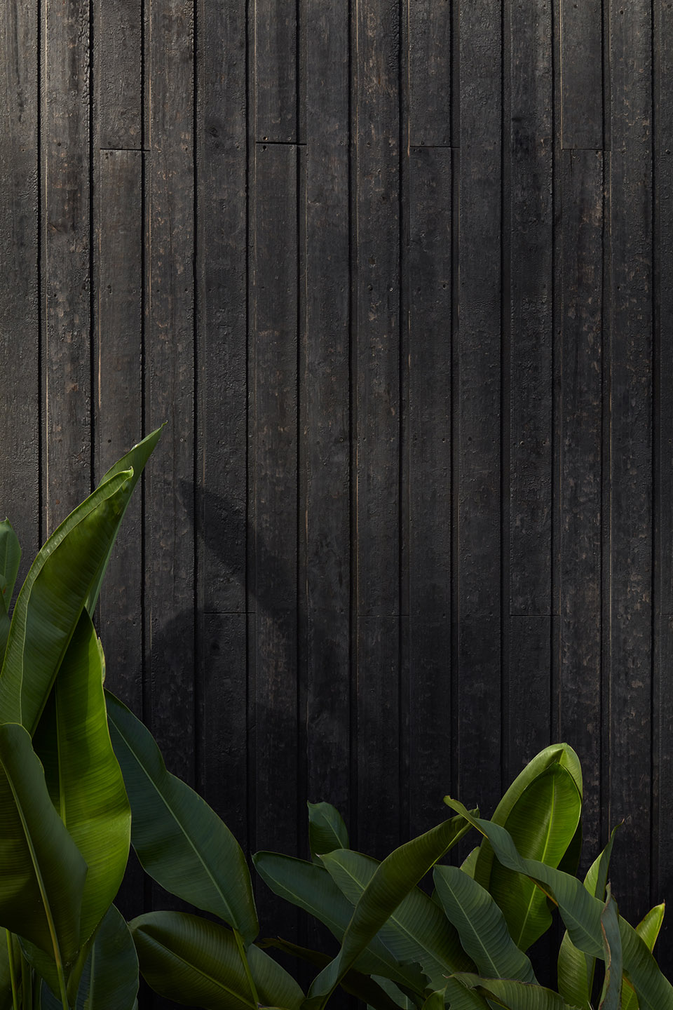 Atelier别墅，哥斯达黎加 / FORMAFATAL-86