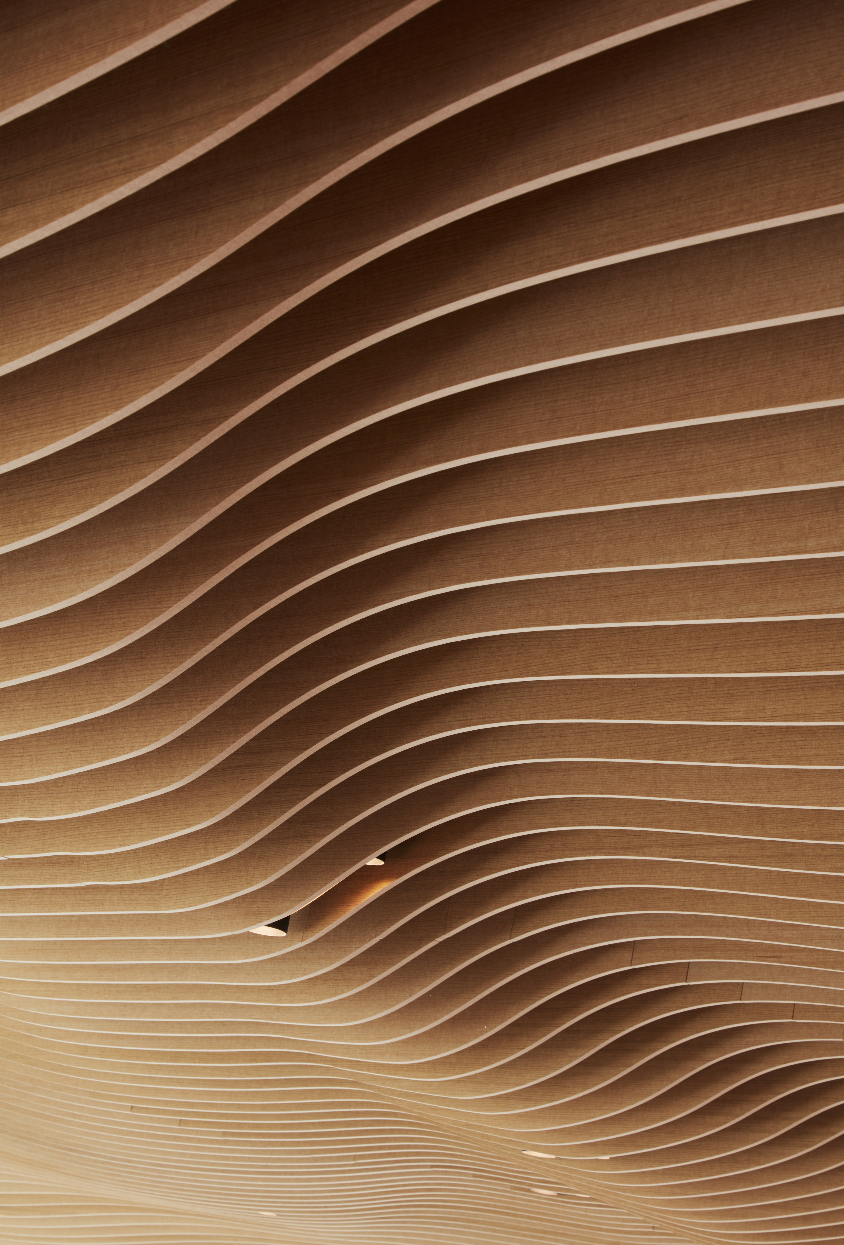 水韵悠然—— Mead Johnson Nutrition 北美总部有机声学天花板设计-17