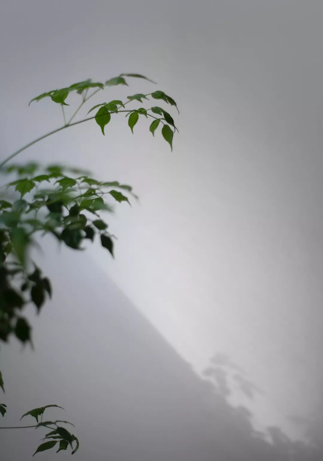 壹同创意“内观”空间 | 让心断舍离的设计亮点-17