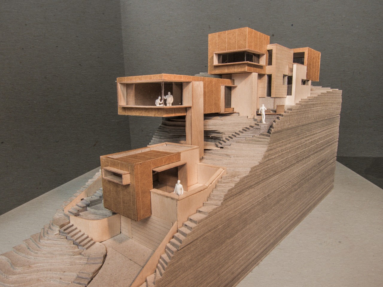 丨澳大利亚新南威尔士-21