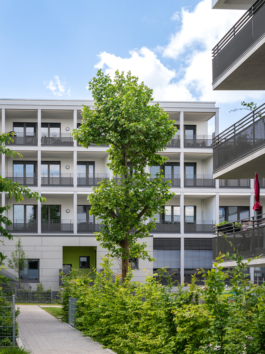 路德维希堡猎宫街区-16