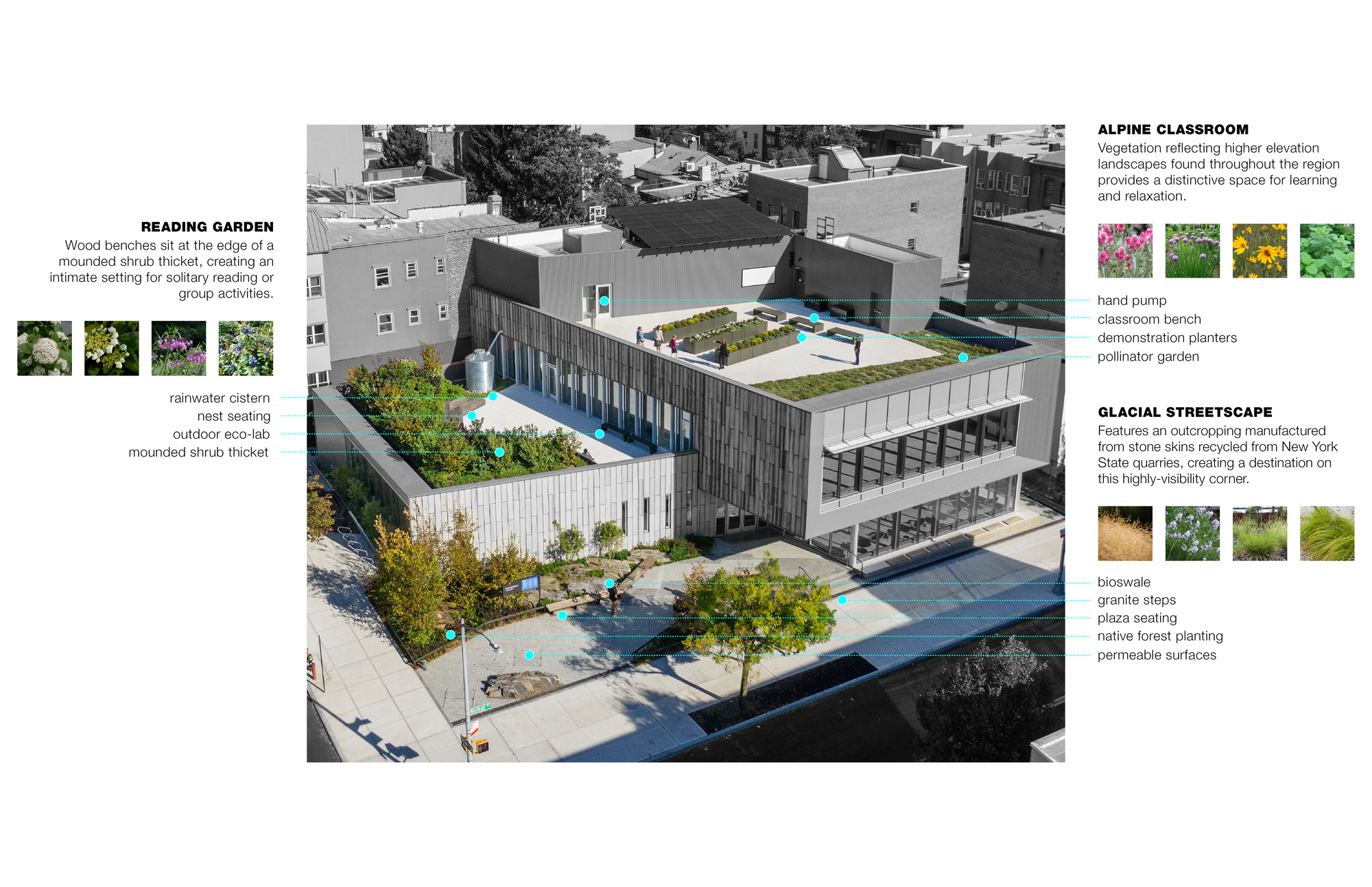 Greenpoint Library and Environmental Education Center / Marble Fairbanks Architects-43