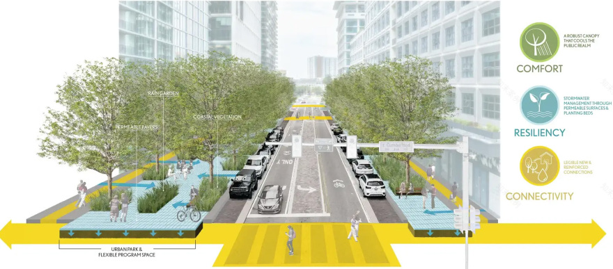 坦帕水街的连绵树冠丨美国丨Reed Hilderbrand-19