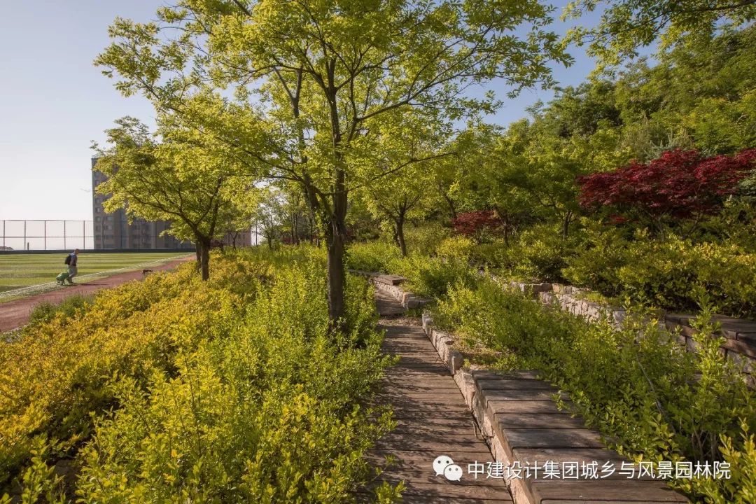 青岛浮山总体景观规划及重要节点详细设计丨中国青岛-149