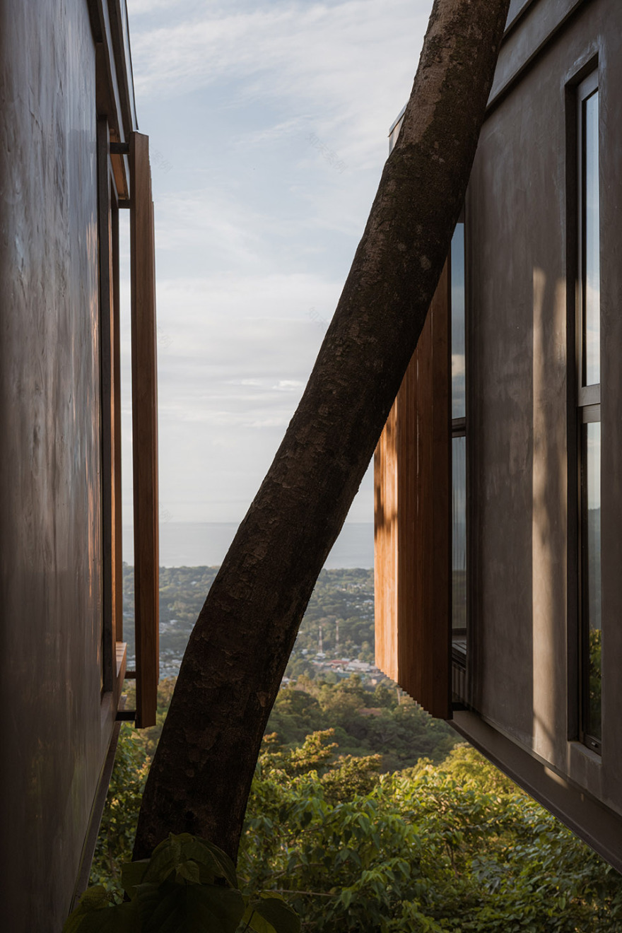 Komorebi别墅丨哥斯达黎加蓬塔雷纳斯丨Studio Saxe-95