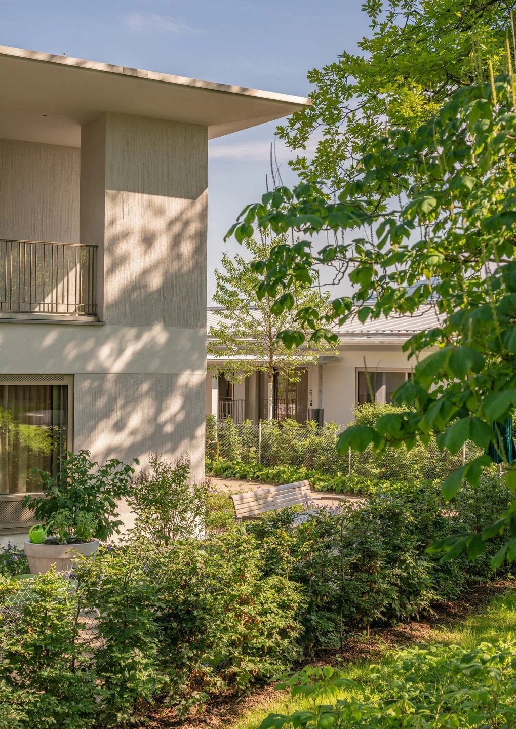 瑞士 Bombach 痴呆症护理之家——和谐融入公园的低层建筑-11